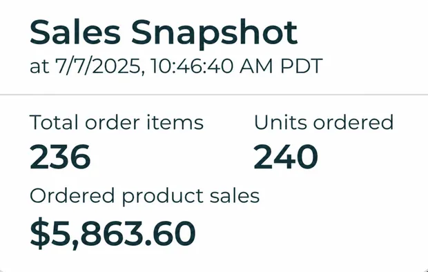 Sales Snapshot: 236 заказов, $5 863.60