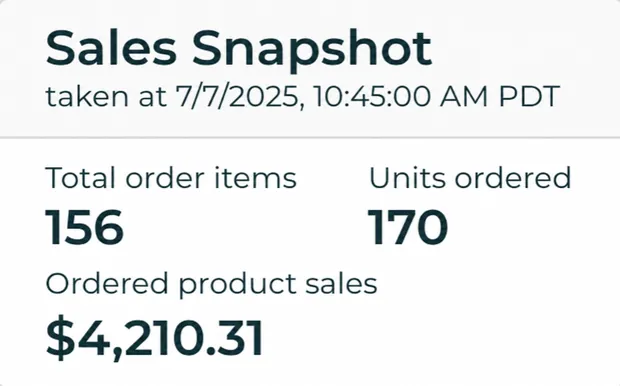 Sales Snapshot: 156 заказов, $4 210.31